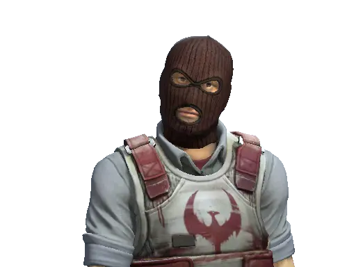 gun